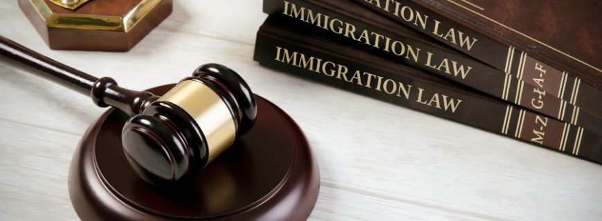 Immigration Law